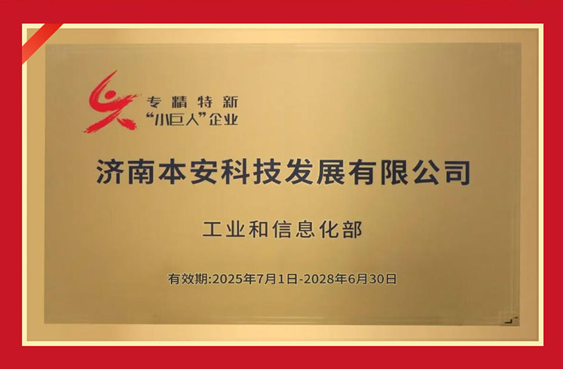 國家級(jí)專精特新小巨人企業(yè)官方認(rèn)證.jpg